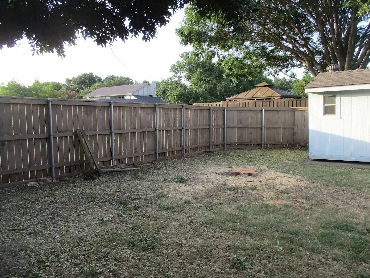 Cleared yard after professional tree removal in Erie