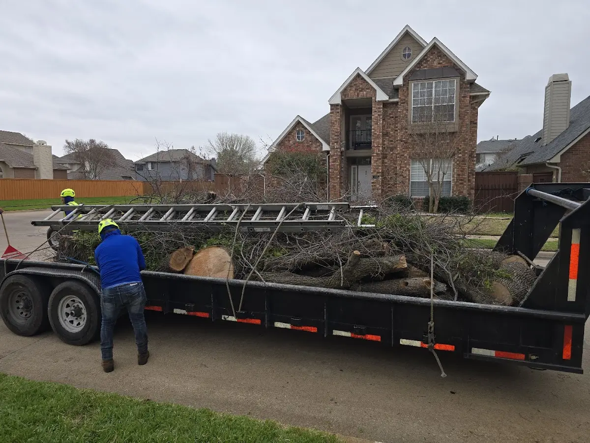 Expert Lot Clearing with proper safety equipment in Erie